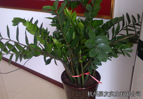 杭州嘉友实业环境